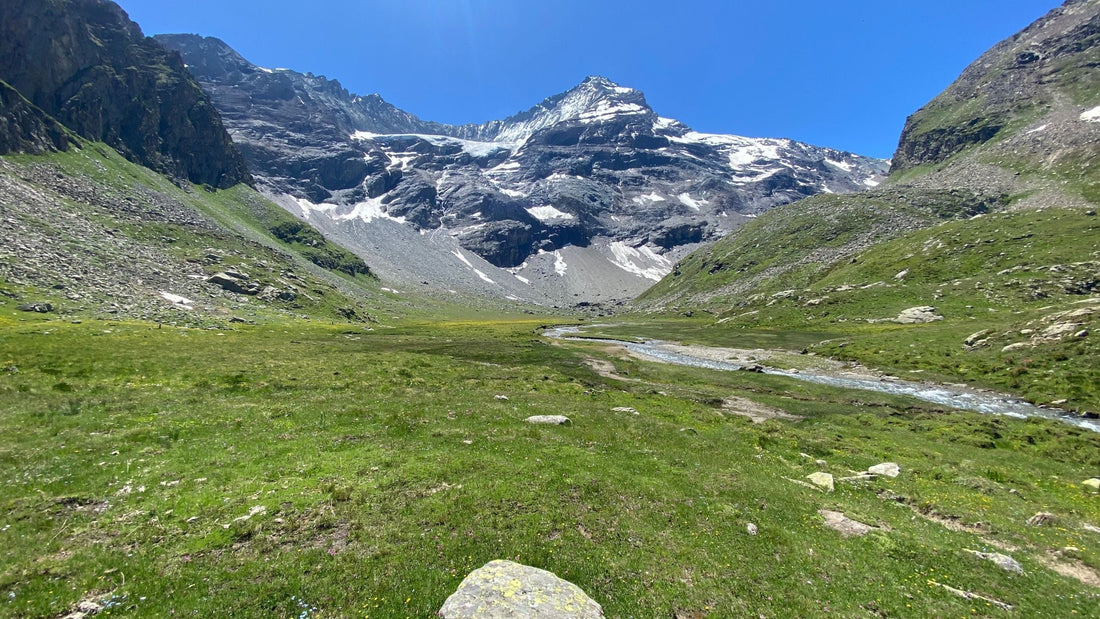 Vista della parete nord est della Grivola